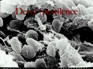 Dever (pestilence)
 