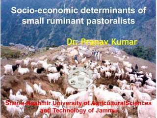 Socio-economic determinants of
small ruminant pastoralists
Dr. Pranav Kumar
Sher-e-Kashmir University of AgriculturalSciences
and Technology of Jammu
 