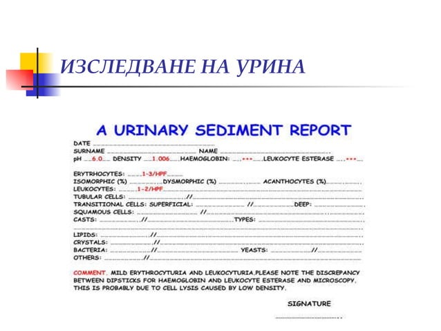 Изследване на урина, уринен седимент, хематурия (диагностични аспекти ...