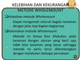 KELEBIHAN DAN KEKURANGAN
METODE WHOLEMOUNT
Kelebihan metode Wholemount
Dapat mengamati seluruh bagian tanaman
dengan jelas tiap bagian-bagiannya
Kelemahan metode Wholemount
Metode ini hanya bisa dilakukan pada
tanaman dengan ukuran yang kecil saja
tidak bisa tanaman yang besar sehingga
metode ini perlu terus dikembangkan
dengan melakukan bebagai percobaan
 
