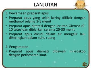 LANJUTAN
3. Pewarnaan preparat apus
• Preparat apus yang telah kering difiksir dengan
methanol selama 3-5 menit
• Preparat apus ditetesi dengan larutan Giemsa (9-
10 tetes)dan dibiarkan selama 20-30 menit
• Preparat apus dicuci dalam air mengalir lalu
dikeringkan dalam suhu ruang
4. Pengamatan
• Preparat apus diamati dibawah mikroskop
dengan perbesaran kuat.
 