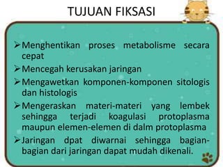 TUJUAN FIKSASI
Menghentikan proses metabolisme secara
cepat
Mencegah kerusakan jaringan
Mengawetkan komponen-komponen sitologis
dan histologis
Mengeraskan materi-materi yang lembek
sehingga terjadi koagulasi protoplasma
maupun elemen-elemen di dalm protoplasma
Jaringan dpat diwarnai sehingga bagian-
bagian dari jaringan dapat mudah dikenali.
 