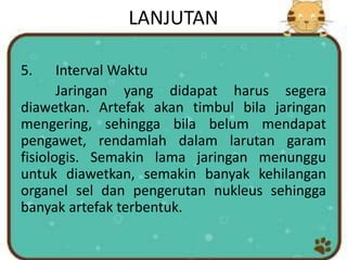 LANJUTAN
5. Interval Waktu
Jaringan yang didapat harus segera
diawetkan. Artefak akan timbul bila jaringan
mengering, sehingga bila belum mendapat
pengawet, rendamlah dalam larutan garam
fisiologis. Semakin lama jaringan menunggu
untuk diawetkan, semakin banyak kehilangan
organel sel dan pengerutan nukleus sehingga
banyak artefak terbentuk.
 