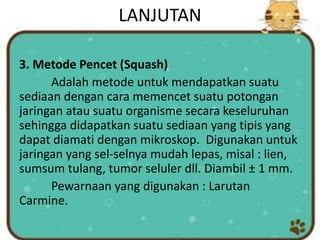 LANJUTAN
3. Metode Pencet (Squash)
Adalah metode untuk mendapatkan suatu
sediaan dengan cara memencet suatu potongan
jaringan atau suatu organisme secara keseluruhan
sehingga didapatkan suatu sediaan yang tipis yang
dapat diamati dengan mikroskop. Digunakan untuk
jaringan yang sel-selnya mudah lepas, misal : lien,
sumsum tulang, tumor seluler dll. Diambil ± 1 mm.
Pewarnaan yang digunakan : Larutan
Carmine.
 