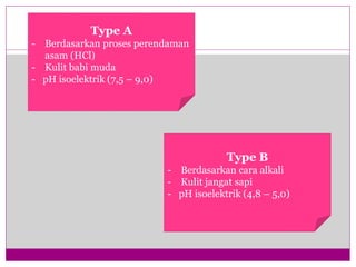 Type A
- Berdasarkan proses perendaman
asam (HCl)
- Kulit babi muda
- pH isoelektrik (7,5 – 9,0)
Type B
- Berdasarkan cara alkali
- Kulit jangat sapi
- pH isoelektrik (4,8 – 5,0)
 