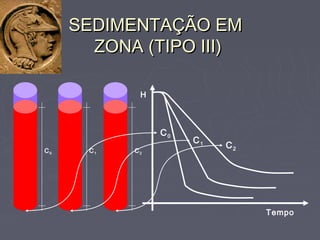 SEDIMENTAÇÃO EMSEDIMENTAÇÃO EM
ZONA (TIPO III)ZONA (TIPO III)
C0
H
Tempo
C1 C2
C0
C1
C2
 