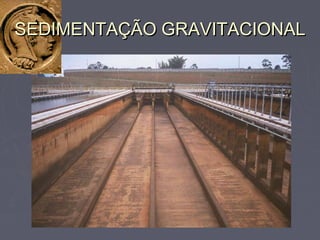 SEDIMENTAÇÃO GRAVITACIONALSEDIMENTAÇÃO GRAVITACIONAL
 