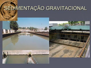 SEDIMENTAÇÃO GRAVITACIONALSEDIMENTAÇÃO GRAVITACIONAL
 