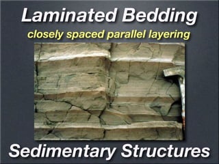 Sedimentary rock’s geology ppt science ppt | PDF