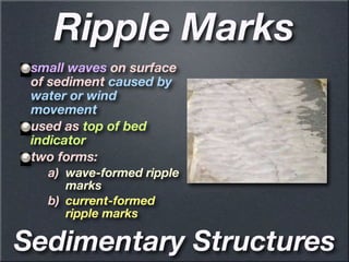 Sedimentary rock’s geology ppt science ppt | PDF