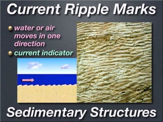 Current Ripple Geology Sedimentary rock’s geology ppt science ppt | PDF