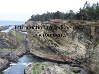 Introduction to sedimentary
       environments


           MAHBOOB AHMED
 