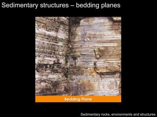 Sedimentary environments | PPT