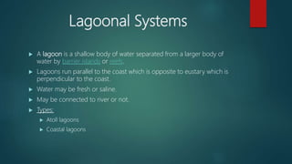 Lagoon Types Sedimentary environments | PPTX