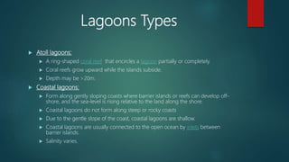 Lagoon Types Sedimentary environments | PPTX