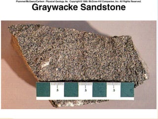 sedimentary petrologyROCKSGEOLOGYGEO.ppt