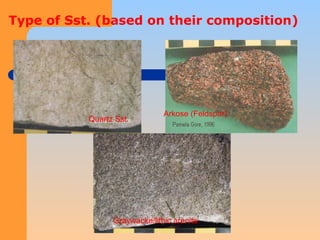 sedimentary petrologyROCKSGEOLOGYGEO.ppt