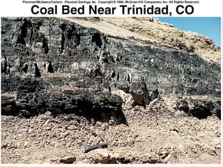 sedimentary petrologyROCKSGEOLOGYGEO.ppt
