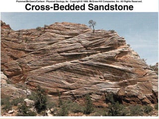 sedimentary petrologyROCKSGEOLOGYGEO.ppt