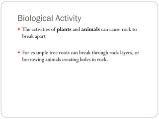 Sedimentary rock | PPTX