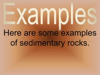 Here are some examples of sedimentary rocks.Examples