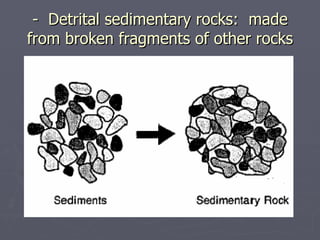 Detritic Rocks Sedimentary rocks | PPT