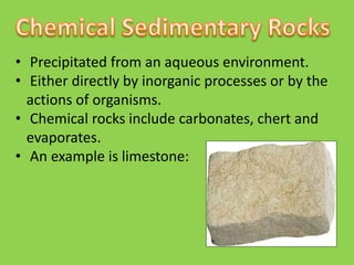 Precipitated Rocks Sedimentary rocks | PPTX