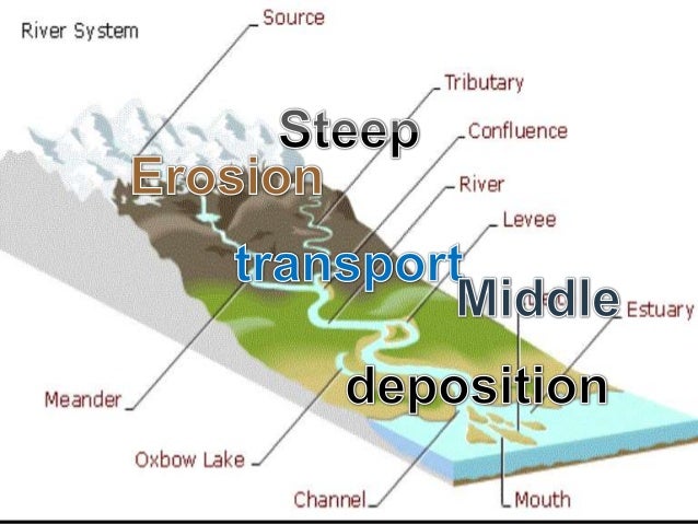 Sedimentary Rocks Earth Science Lesson PowerPoint