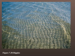 Deformable Ripples Sedimentary Rocks/EPCC/LM5 B | PPT