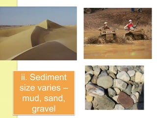 Sedimentary rocks | PPTX