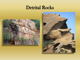 Sedimentary Rocks | PPTX