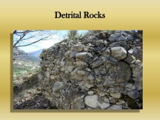 Sedimentary Rocks | PPTX