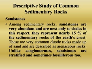 Sedimentary Rocks | PPTX
