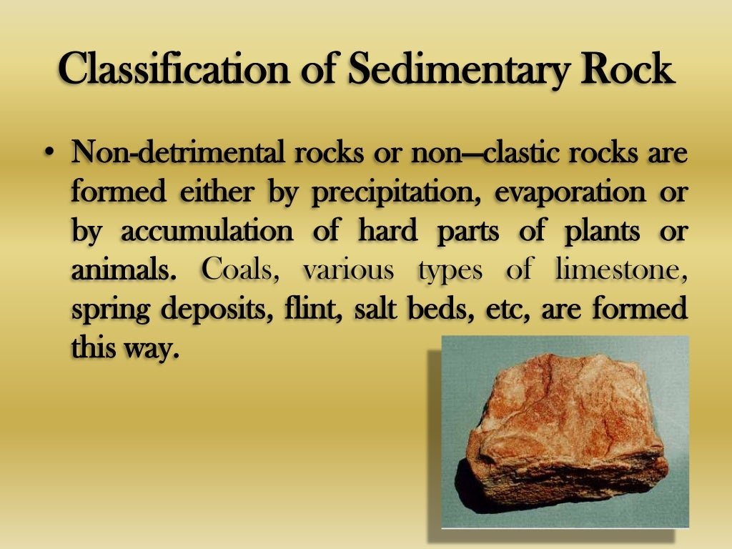 Sedimentary Rocks