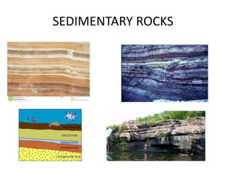 SEDIMENTARY ROCKS
 