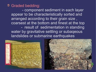 ➲ Graded bedding:
- component sediment in each layer
appear to be characteristically sorted and
arranged according to their grain size ,
coarsest at the bottom and finest at the top
- result of sedimentation in standing
water by gravitative settling or subaqeous
landslides or submarine earthquakes
 