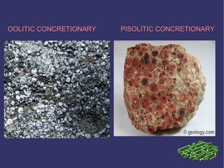 OOLITIC CONCRETIONARY PISOLITIC CONCRETIONARY
 