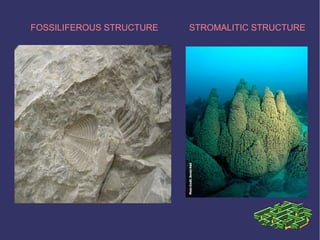 FOSSILIFEROUS STRUCTURE STROMALITIC STRUCTURE
 