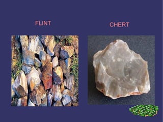 FLINT CHERT
 