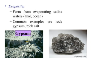 • Evaporites
– Form from evaporating saline
waters (lake, ocean)
– Common examples are rock
gypsum, rock salt
Gypsum
 