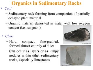 Organics in Sedimentary Rocks
• Coal
– Sedimentary rock forming from compaction of partially
decayed plant material
– Organic material deposited in water with low oxygen
content (i.e., stagnant)
• Chert
– Hard, compact, fine-grained,
formed almost entirely of silica
– Can occur as layers or as lumpy
nodules within other sedimentary
rocks, especially limestones
 