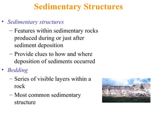 Sedimentary Structures
• Sedimentary structures
– Features within sedimentary rocks
produced during or just after
sediment deposition
– Provide clues to how and where
deposition of sediments occurred
• Bedding
– Series of visible layers within a
rock
– Most common sedimentary
structure
 