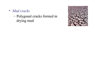 • Mud cracks
– Polygonal cracks formed in
drying mud
 