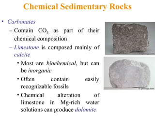 Chemical Sedimentary Rocks
• Carbonates
– Contain CO3 as part of their
chemical composition
– Limestone is composed mainly of
calcite
• Most are biochemical, but can
be inorganic
• Often contain easily
recognizable fossils
• Chemical alteration of
limestone in Mg-rich water
solutions can produce dolomite
 