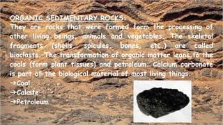 Sedimentary rocks | PPTX