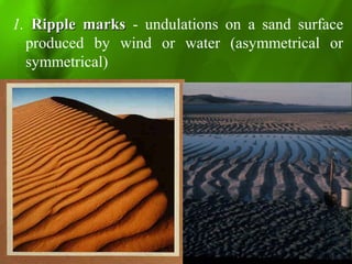 1. Ripple marksRipple marks - undulations on a sand surface
produced by wind or water (asymmetrical or
symmetrical)
 
