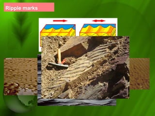 Ripple marks
 