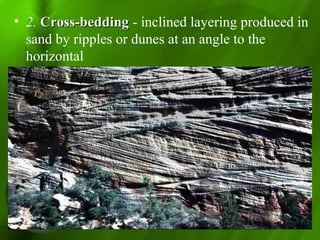 • 2. Cross-beddingCross-bedding - inclined layering produced in
sand by ripples or dunes at an angle to the
horizontal
 