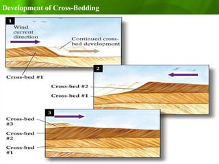 Development of Cross-Bedding
 