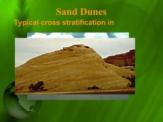 Typical cross stratification in
Sand Dunes
 